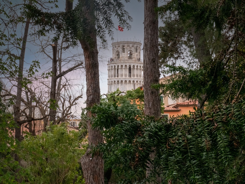 a tall tower towering over a lush green forest