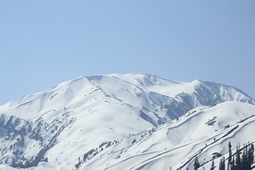 a snow covered mountain with trees in the foreground