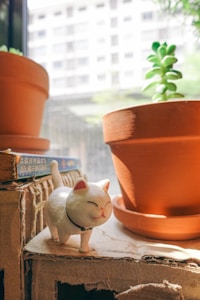 Pet-Friendly Houseplant