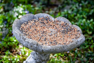 a bird bath in the middle of a garden