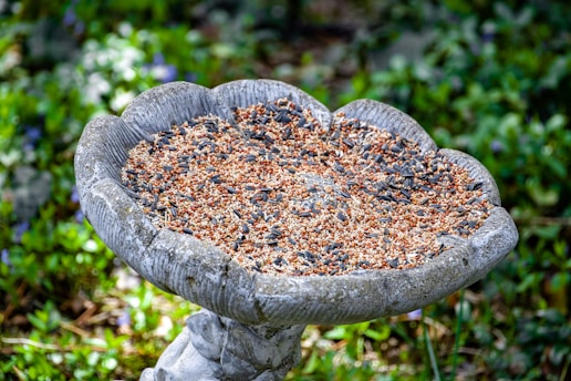 a bird bath in the middle of a garden
