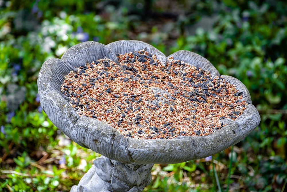 a bird bath in the middle of a garden