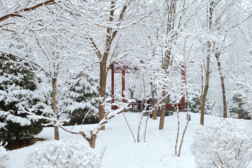 a snow covered park with trees and benches