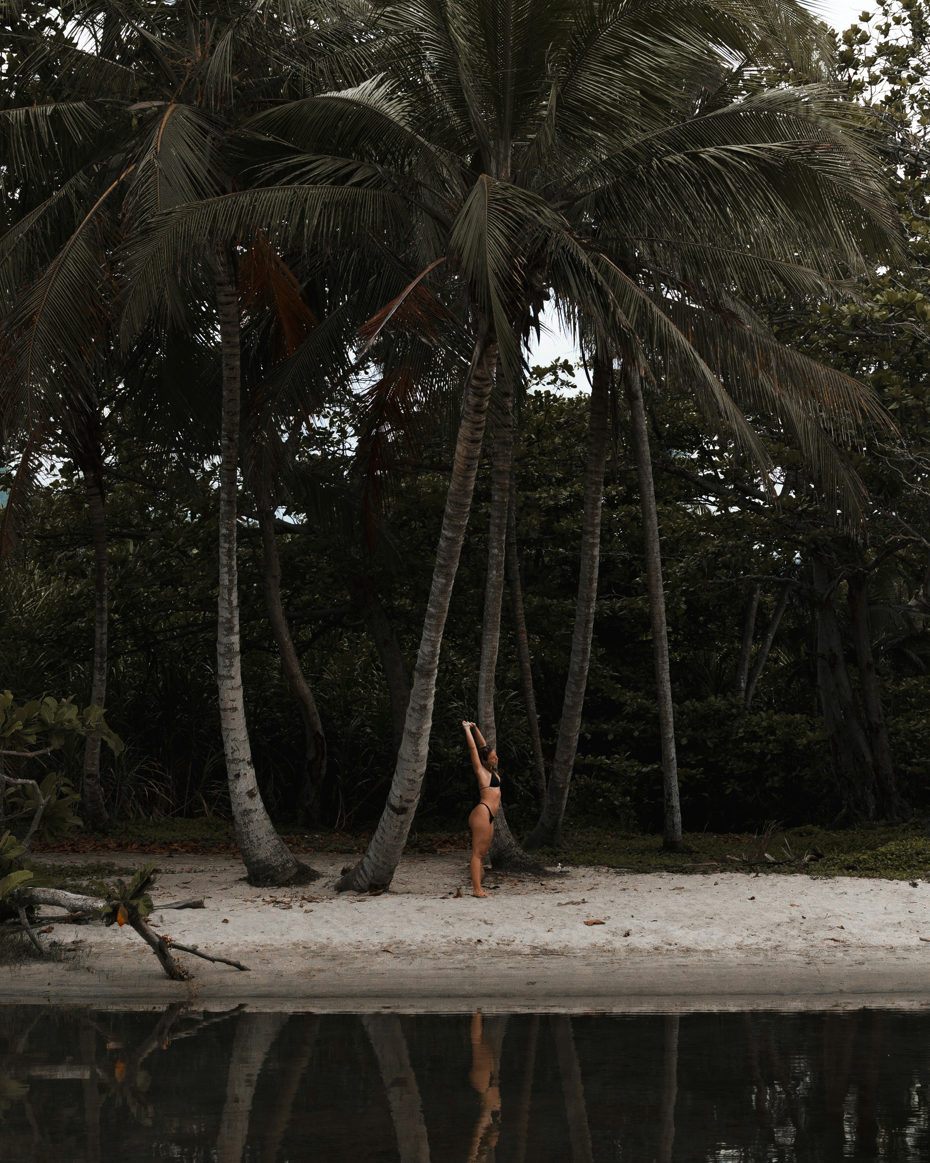 Photo by michielannaert