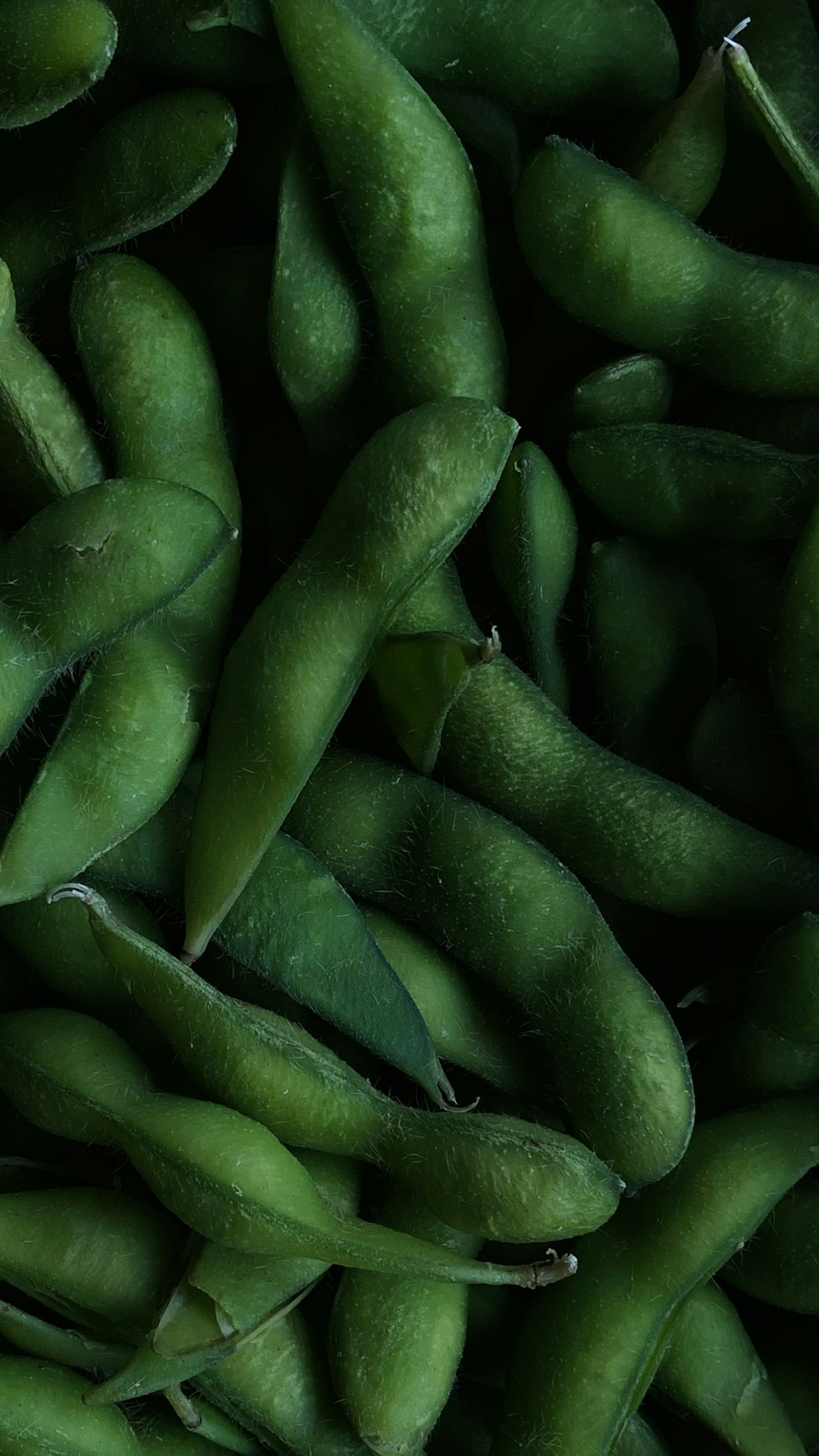 a pile of green beans sitting next to each other