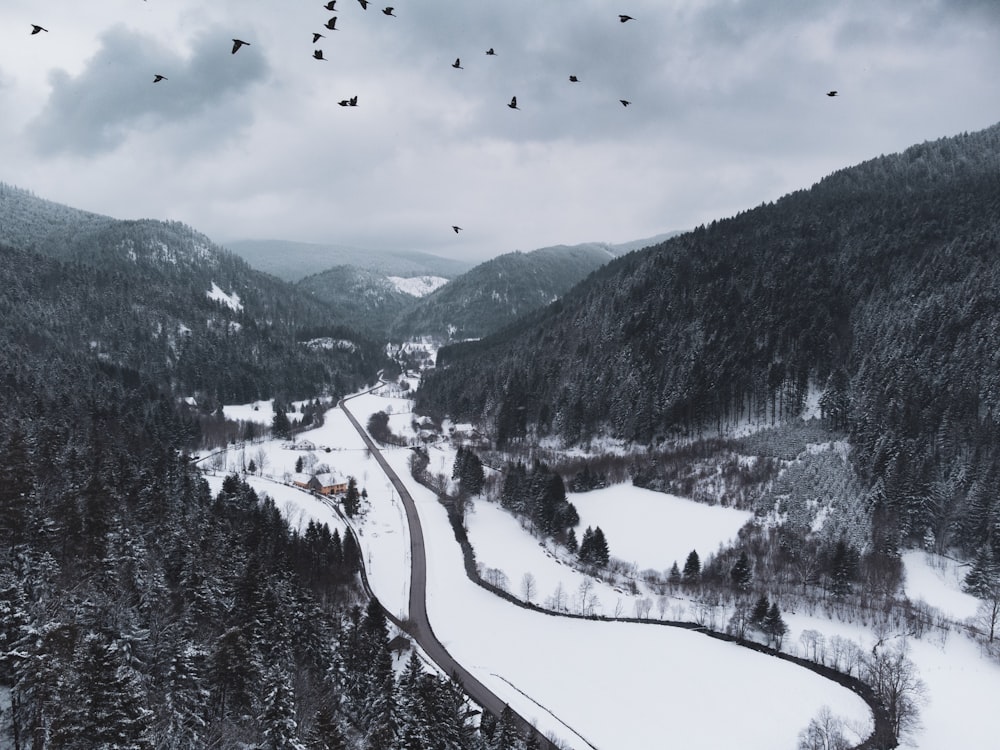 a snow covered mountain with a road in the middle of it