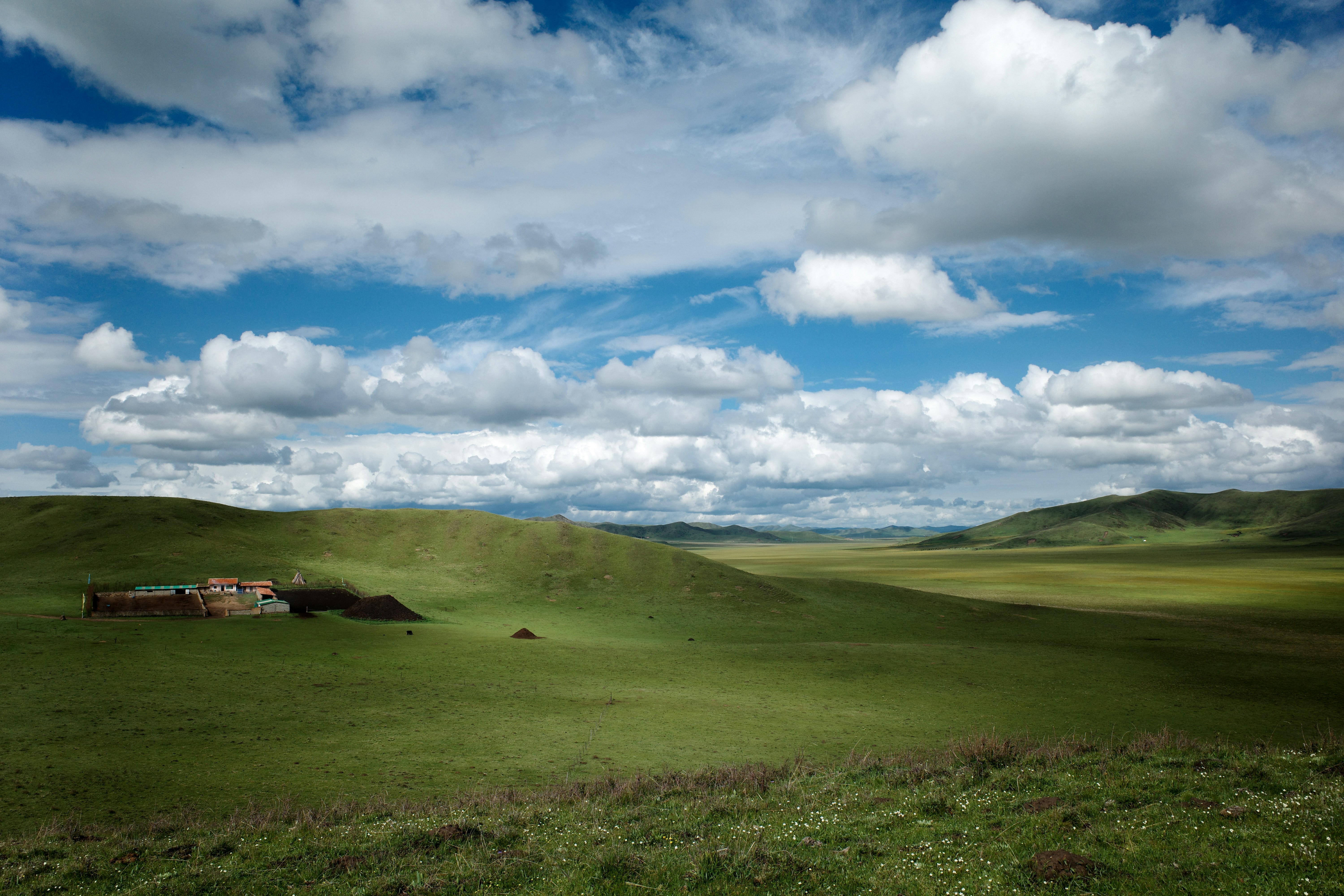 Photo by msz010dzeta