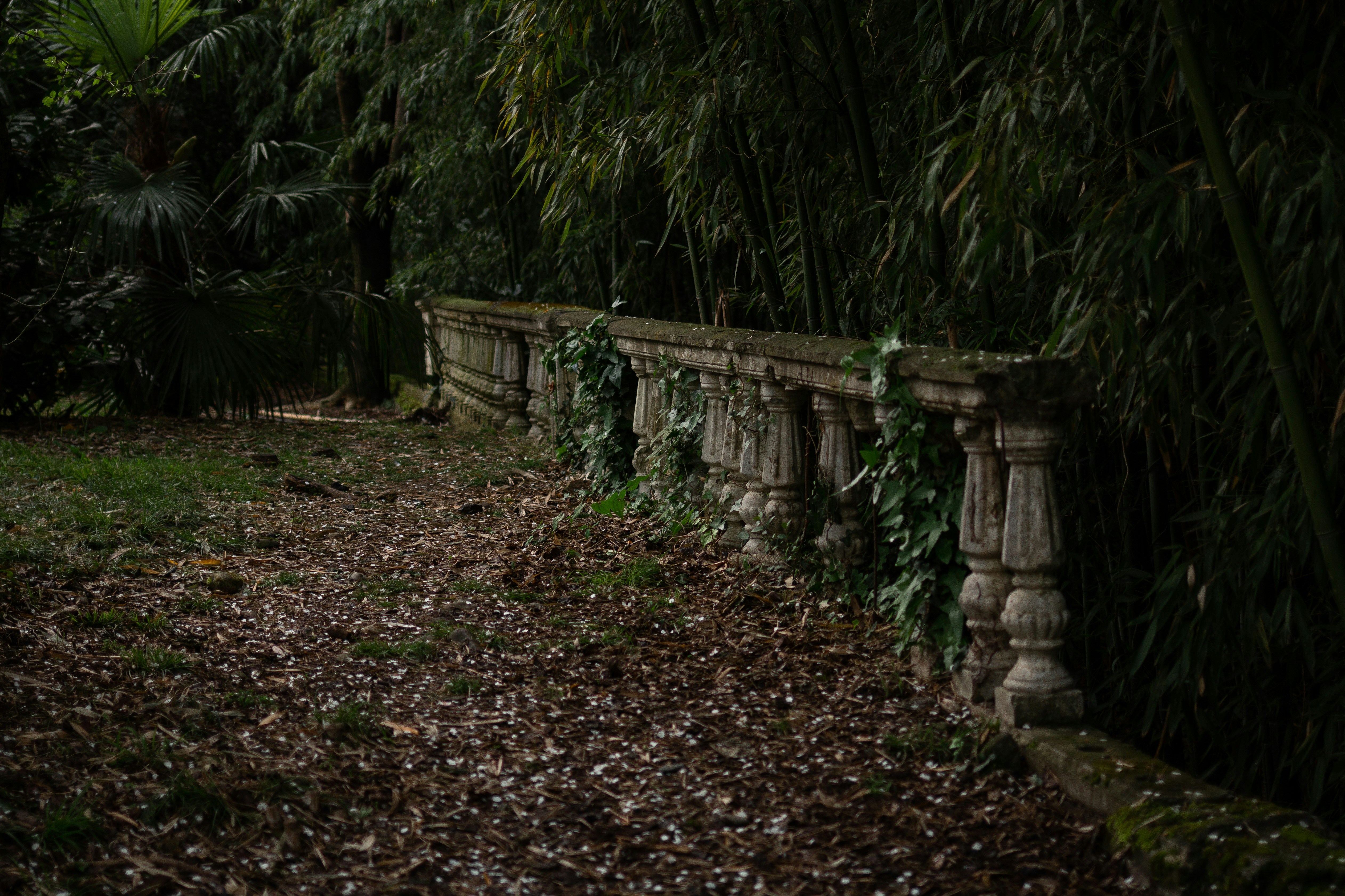 a row of stone pillars sitting next to a lush green forest