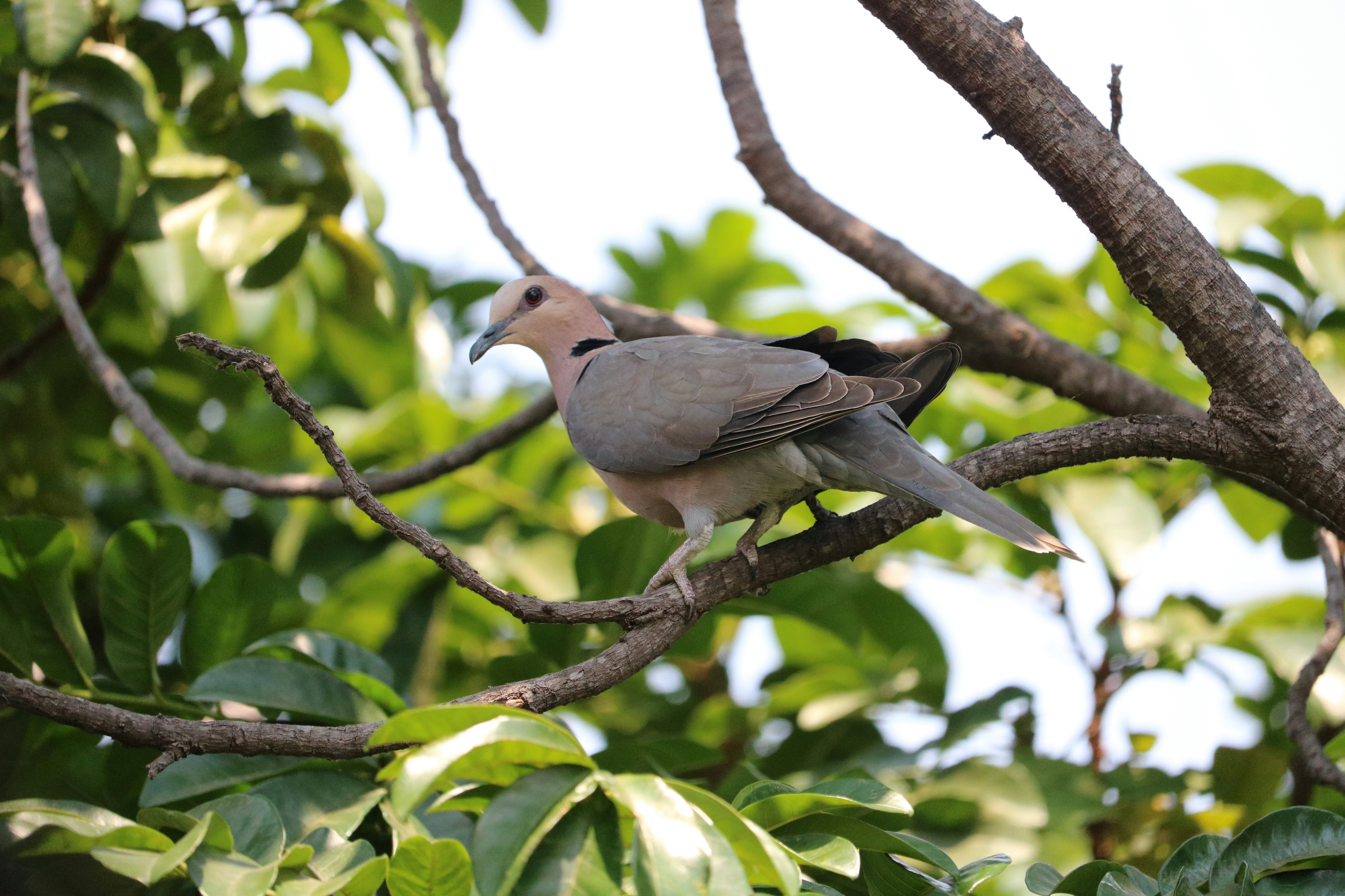 Photo by littlenaturelove