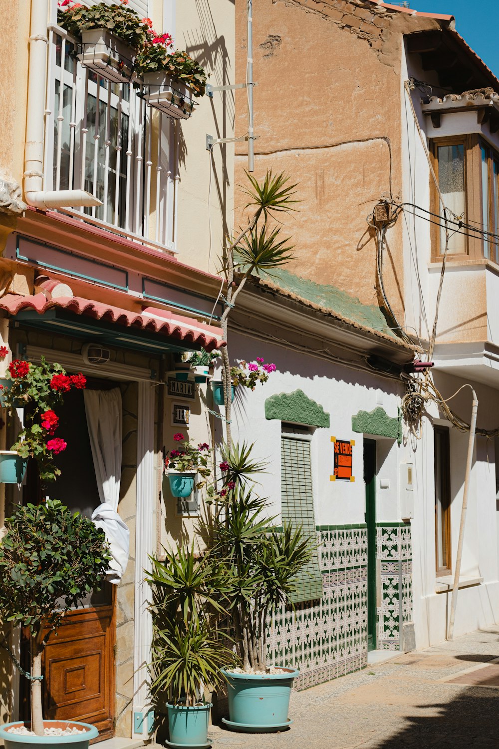 um edifício com vasos de plantas na frente dele