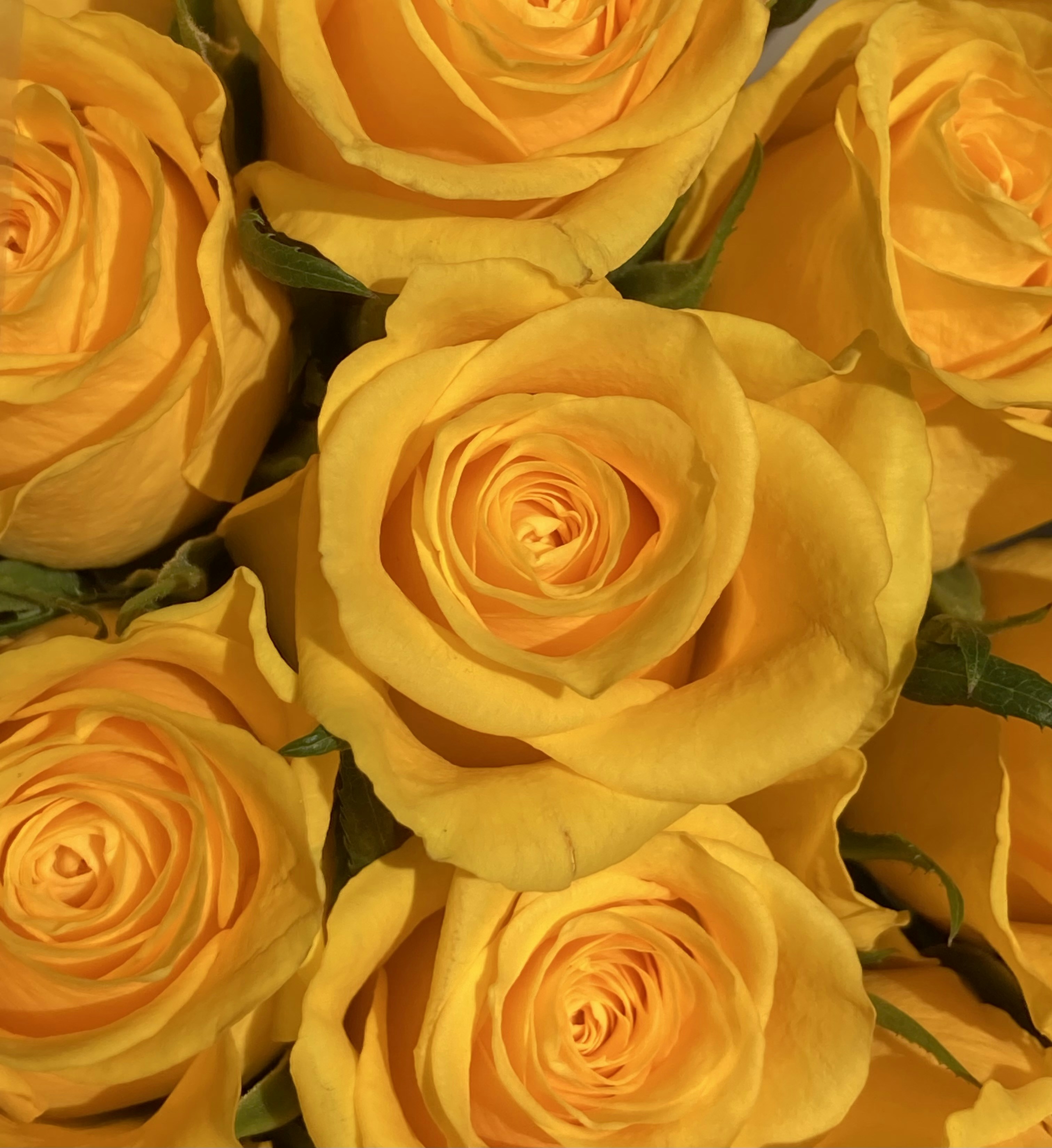 Photo by cehphotography64