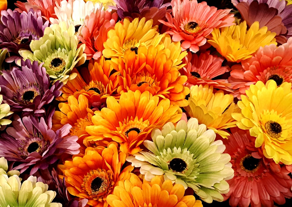 a close up of a bunch of colorful flowers