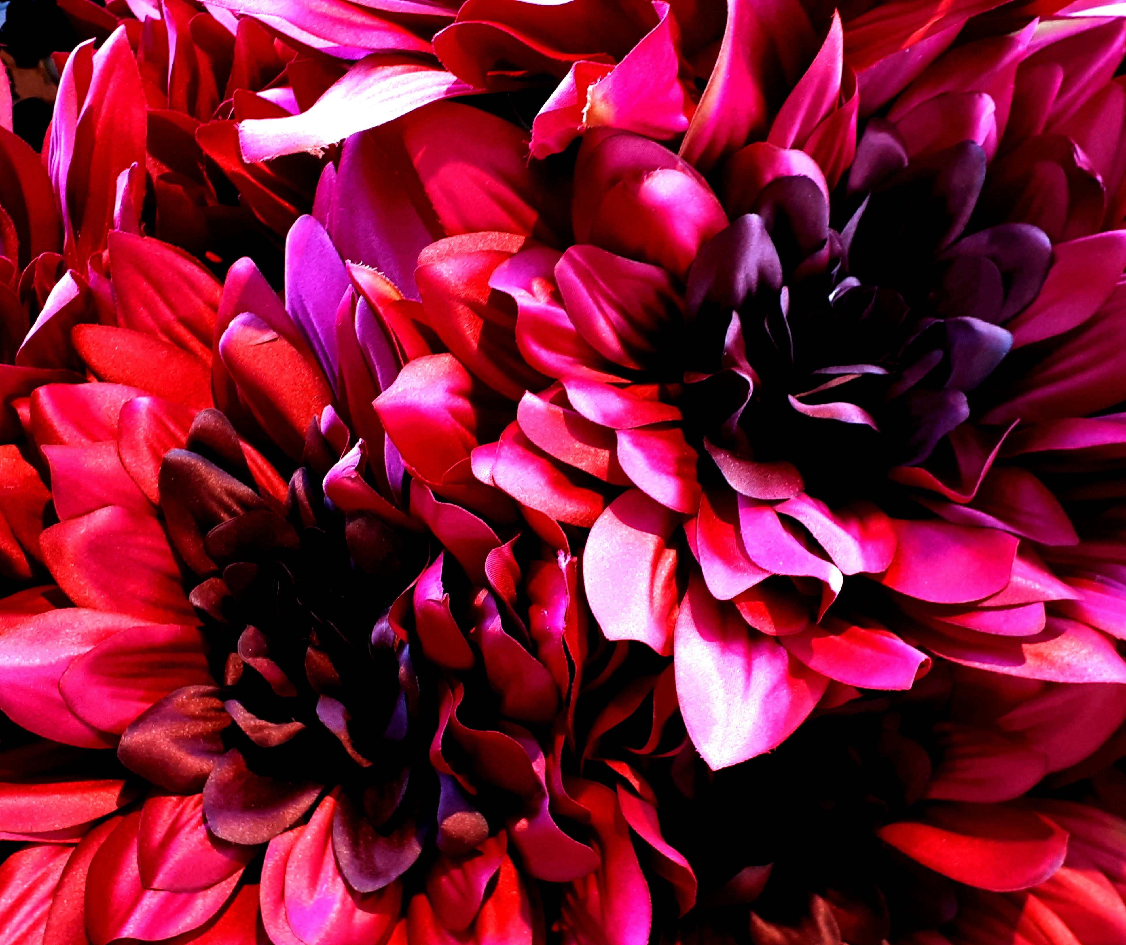 Nahaufnahme eines Blumenstraußes