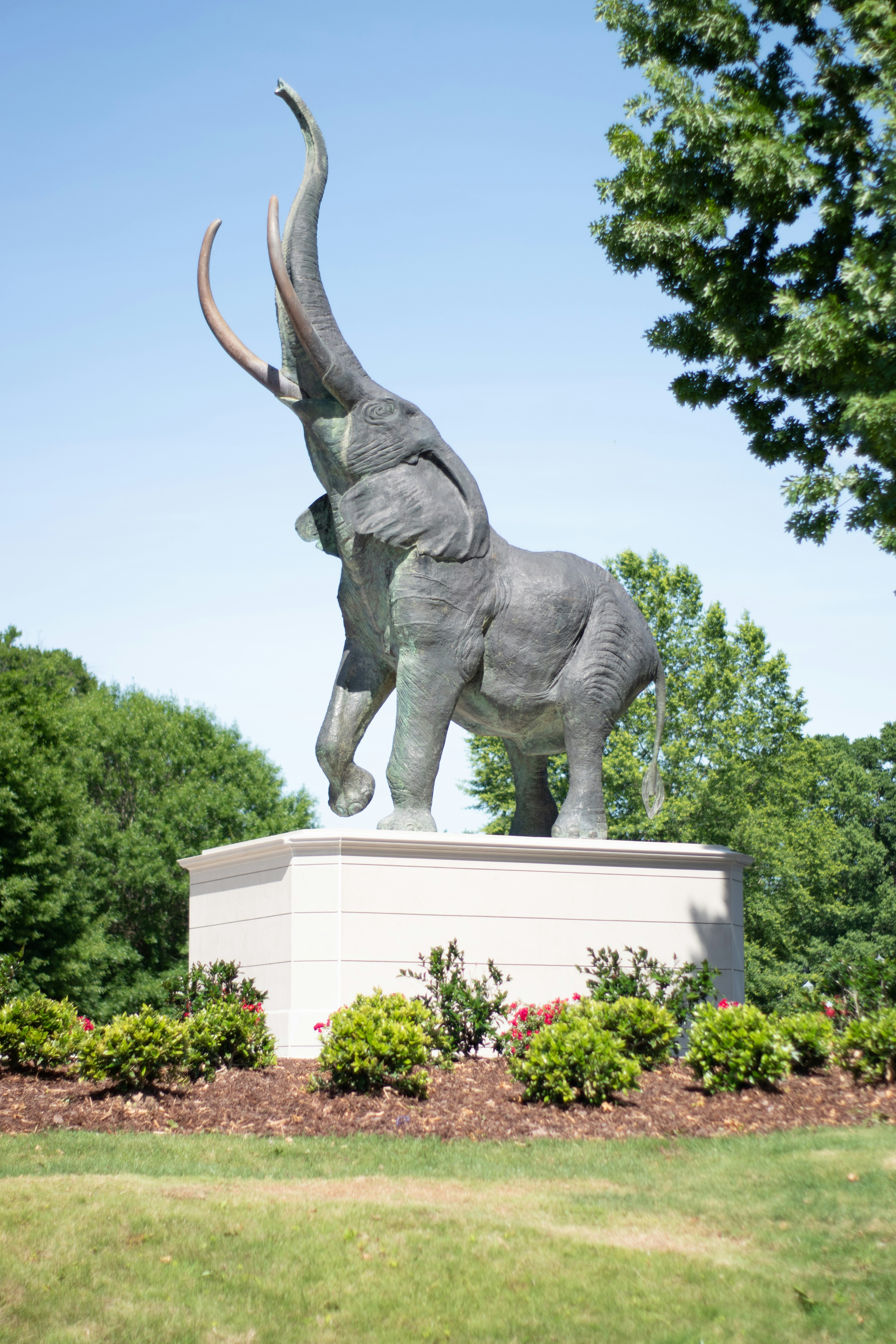 Elephant Statue - The University of Alabama