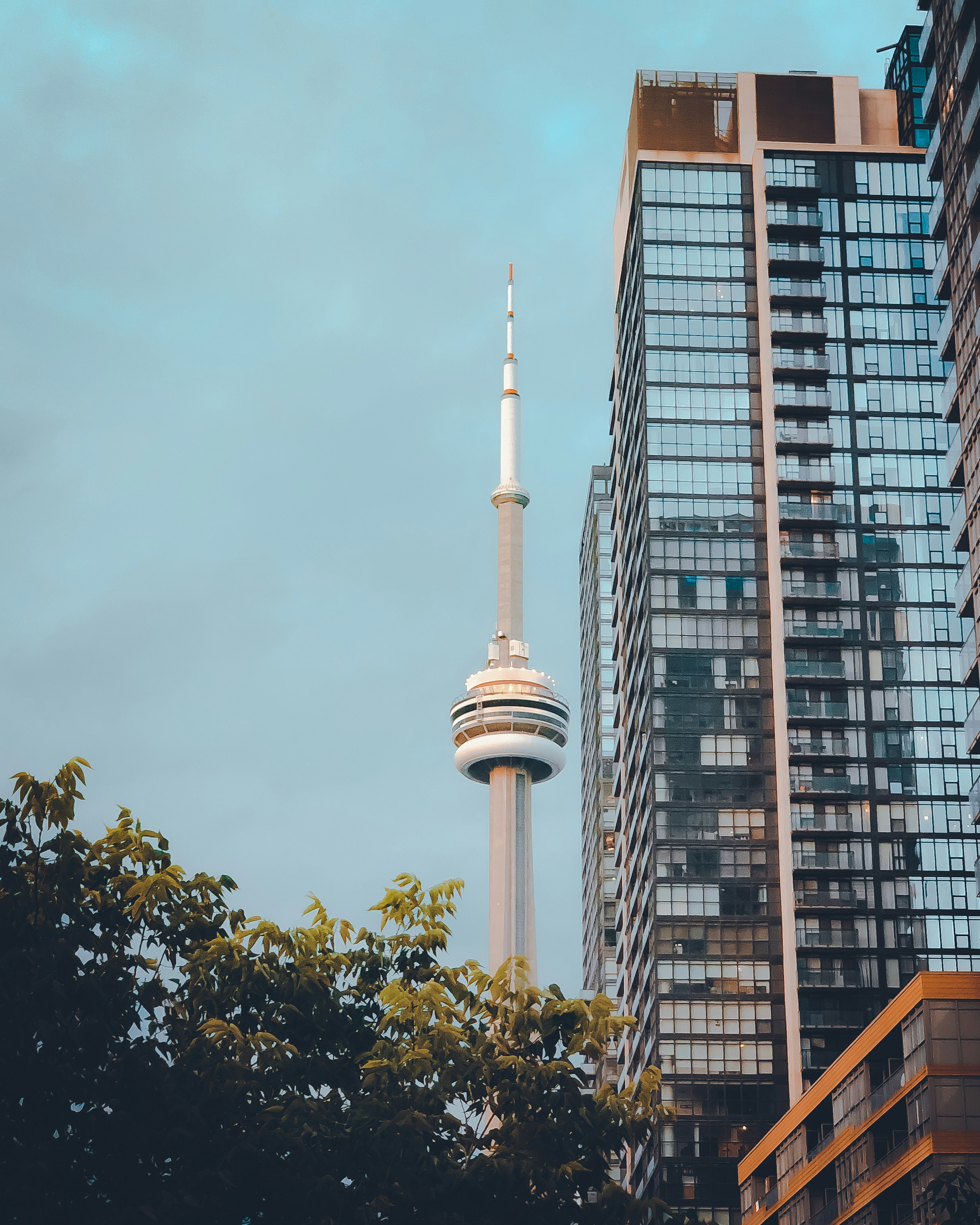 Photo by nicolasdavd