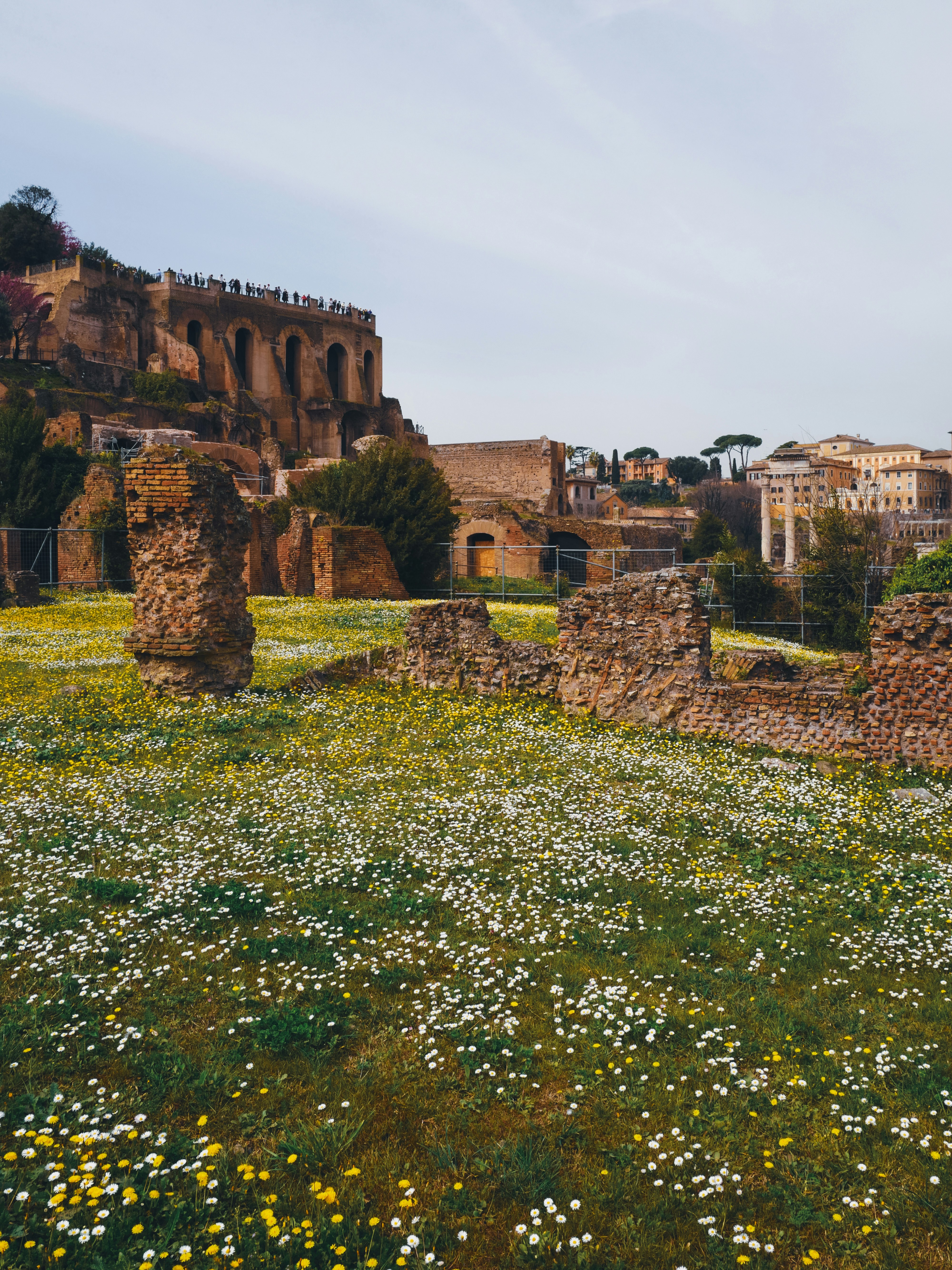 a field of wildflowers in front of a castle