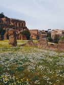 Ancient ruins with stone walls in the foreground are surrounded by a field of vibrant yellow and white flowers. In the background, historic buildings are visible along with tall, lush trees. A crowd of people can be seen on top of one of the ruins, suggesting a popular tourist site.