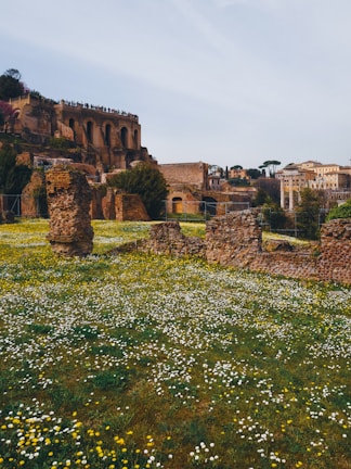 Ancient ruins with stone walls in the foreground are surrounded by a field of vibrant yellow and white flowers. In the background, historic buildings are visible along with tall, lush trees. A crowd of people can be seen on top of one of the ruins, suggesting a popular tourist site.