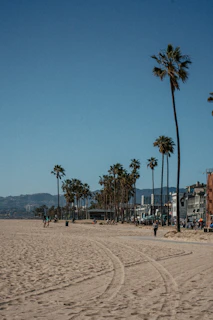 A sandy beach lined with a series of tall palm trees under a clear blue sky. In the background, there are mountains and a row of buildings, with people walking and enjoying the beachfront. The scene is calm and serene, with footprints and tire tracks visible in the sand.