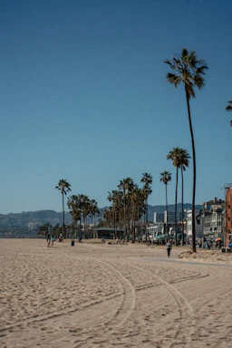 A sandy beach lined with a series of tall palm trees under a clear blue sky. In the background, there are mountains and a row of buildings, with people walking and enjoying the beachfront. The scene is calm and serene, with footprints and tire tracks visible in the sand.