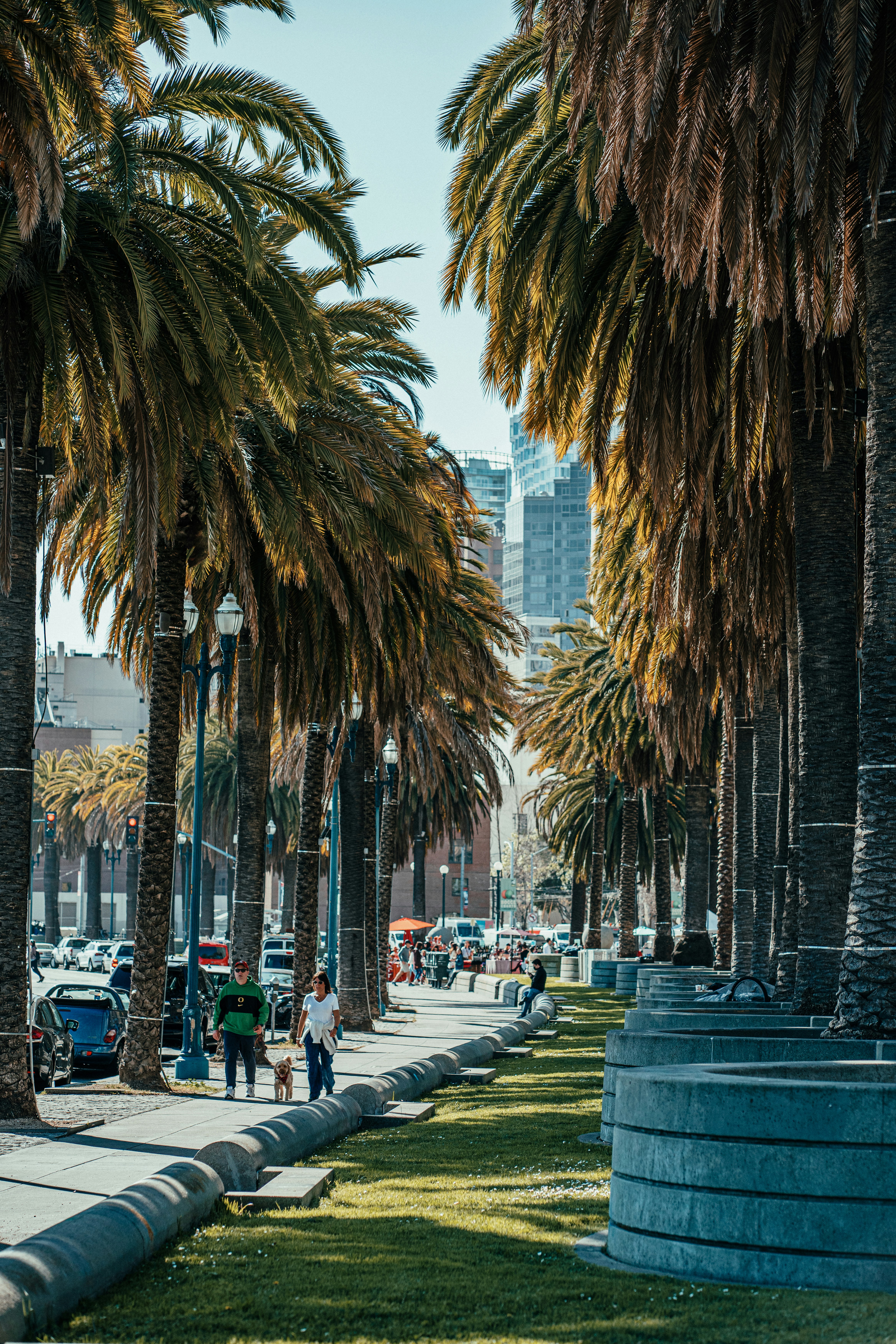 a couple of people walking down a sidewalk next to palm trees