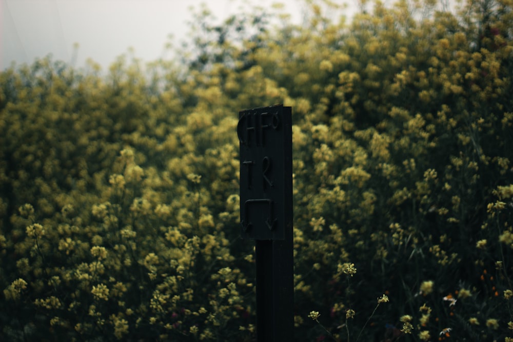a black pole in front of a field of yellow flowers
