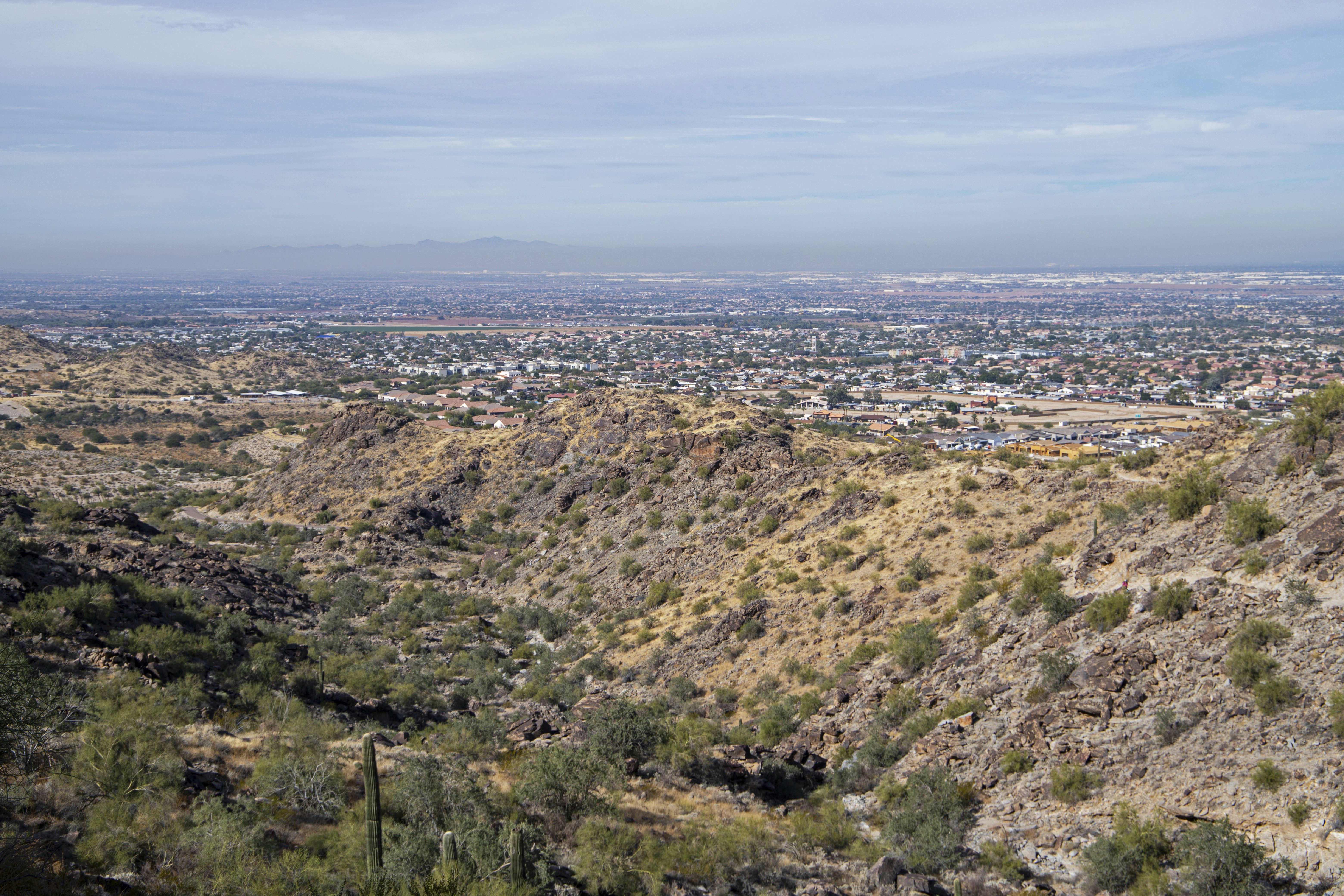 a view of a city in the distance from a hill, 