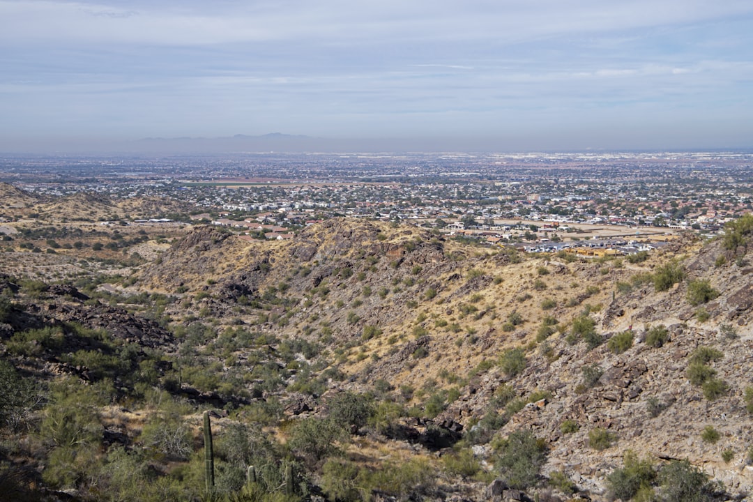 From Desert Hikes to Downtown Delights: A Local's Guide to Savoring… — From Desert Hikes to Downtown Delights