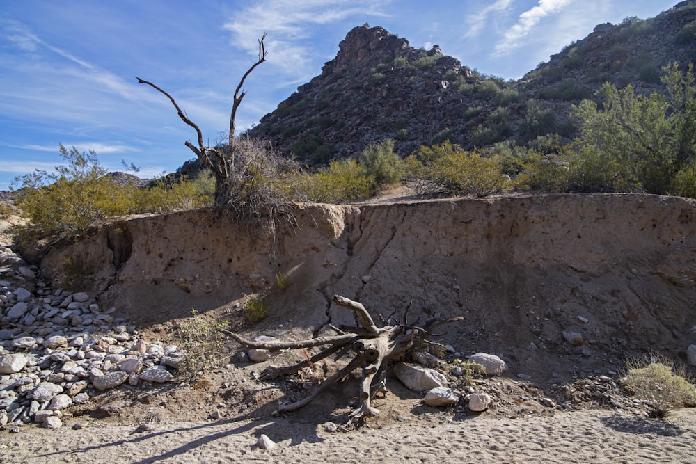 a dirt hill with a tree stump in the middle of it