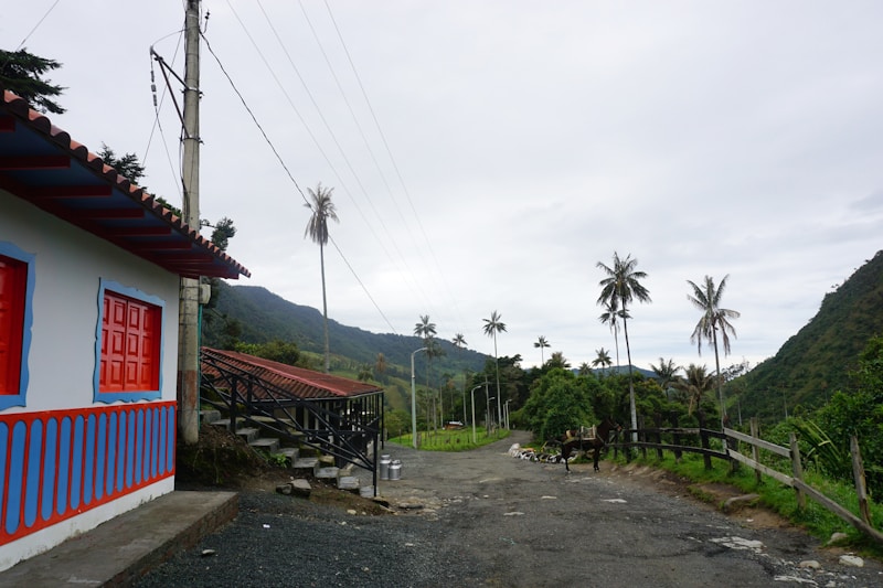 Location
