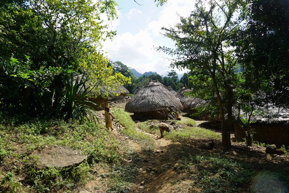 a dirt path with grass huts and trees