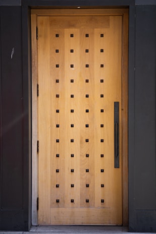a dog is standing in front of a wooden door