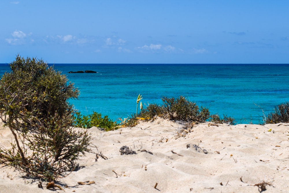 a view of the ocean from a sandy beach