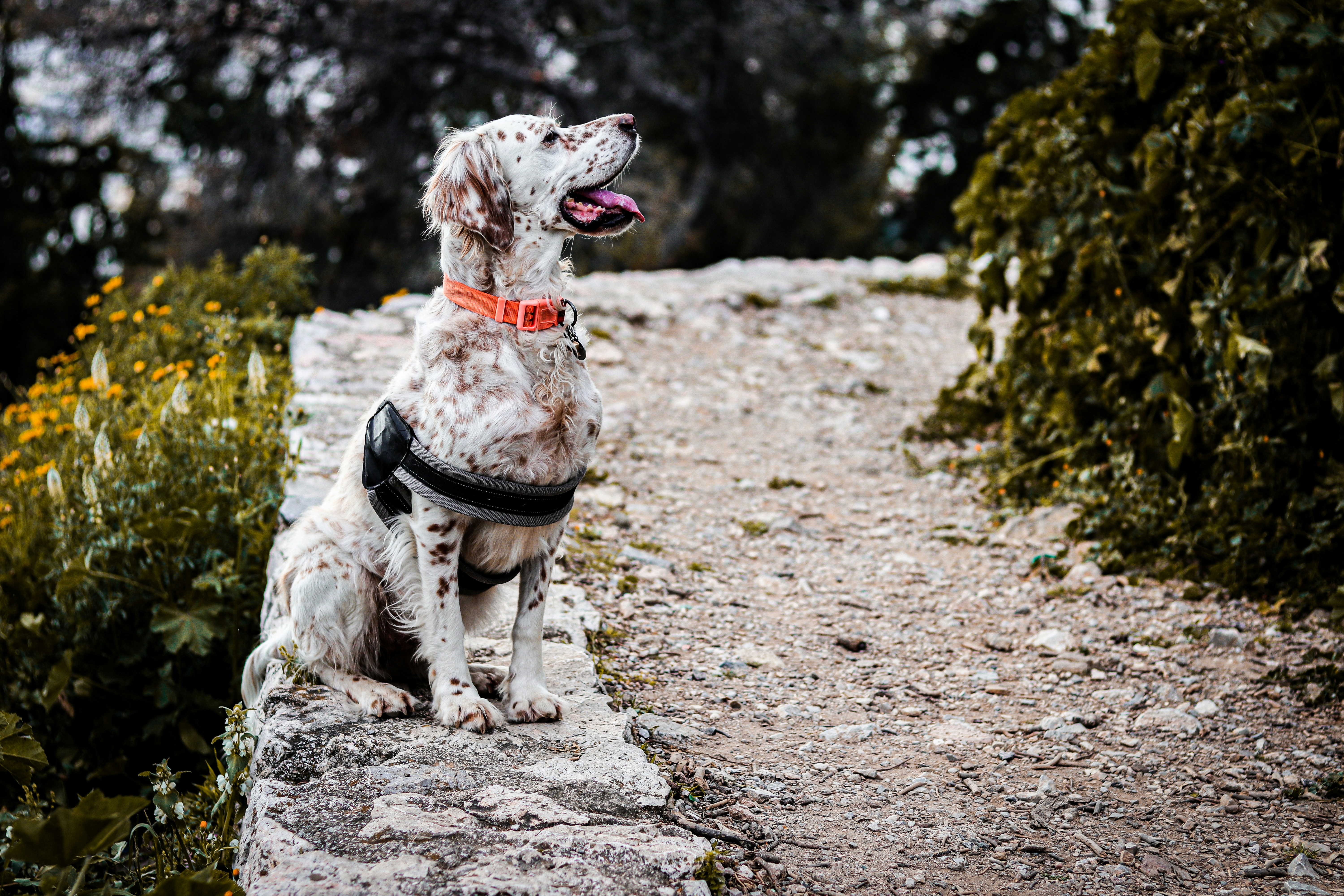 1 Day Refresher Training Session