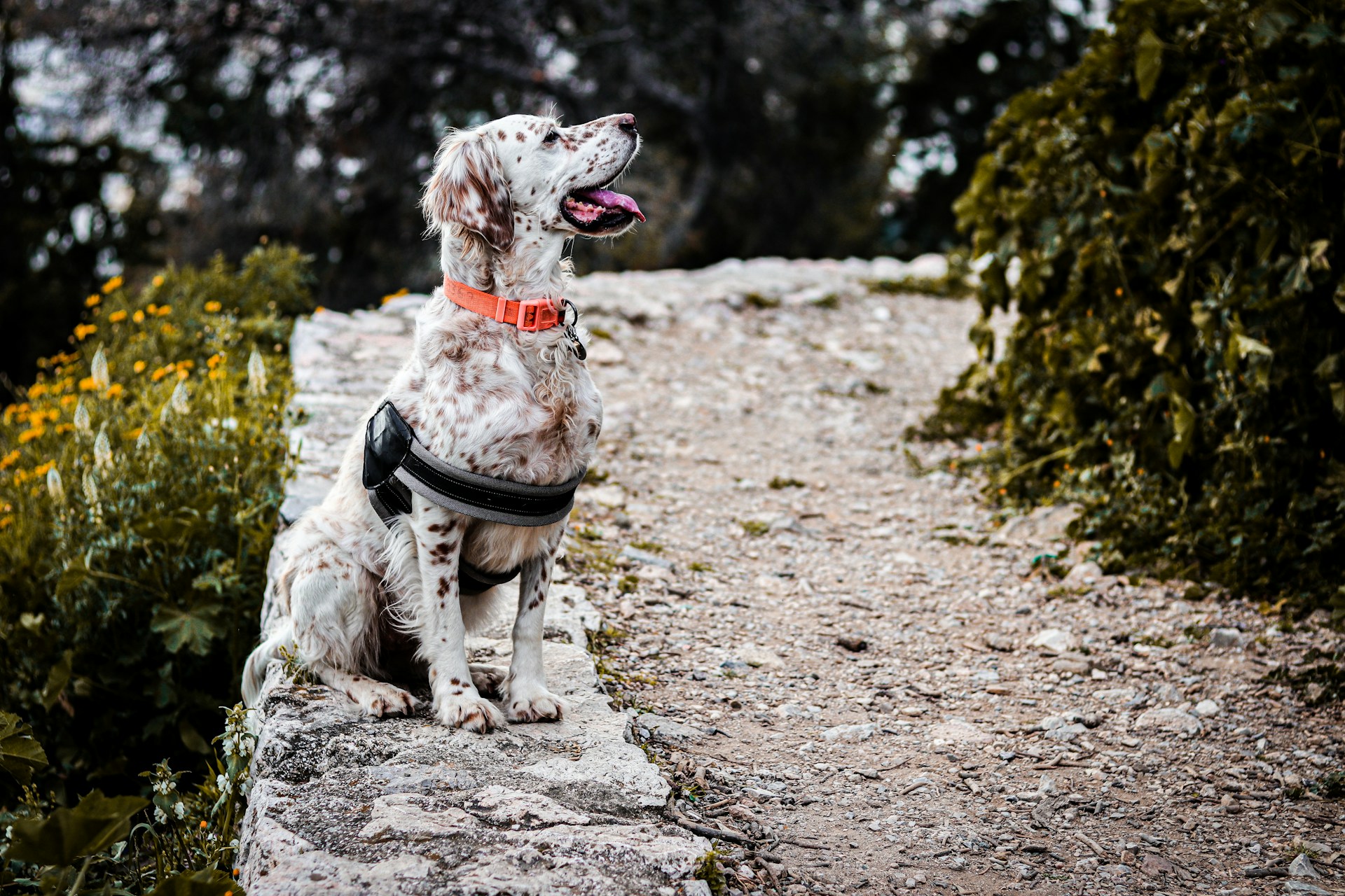 black and white bed linen