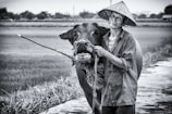 A smiling farmer receiving a buffalo from the foundation in a rural village.