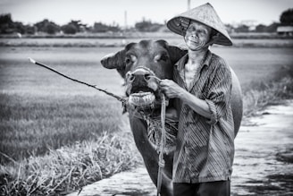 A farmer receiving a buffalo donation with a hopeful smile.