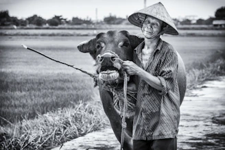 A smiling farmer proudly holding a healthy buffalo calf.