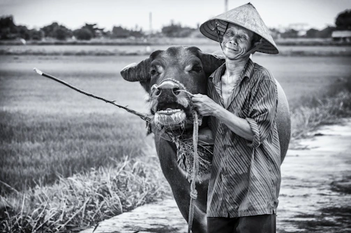 A smiling farmer proudly holding a healthy buffalo calf.