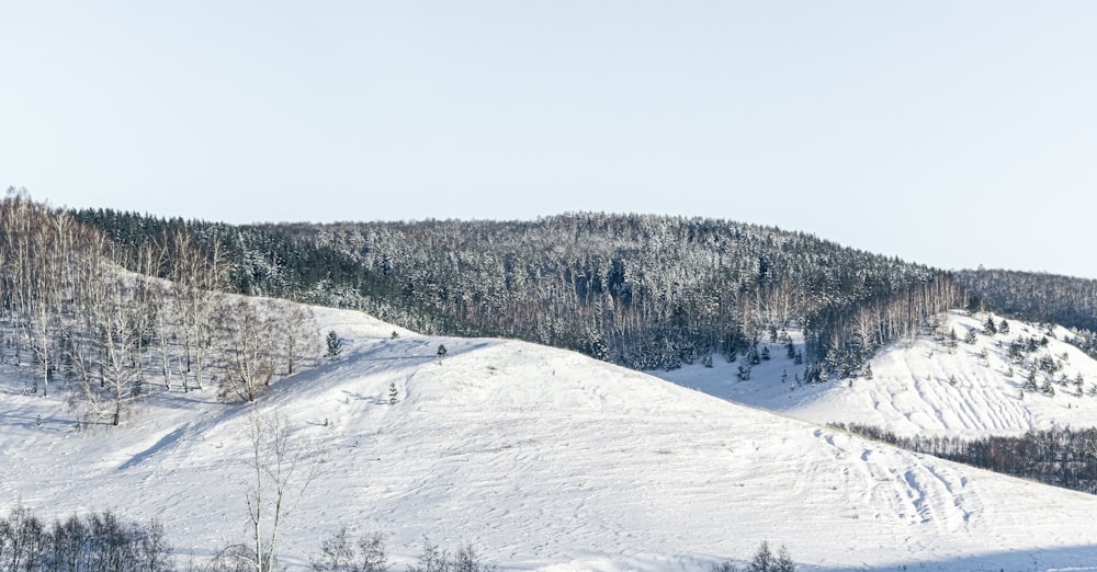 a mountain covered in snow with trees on top of it