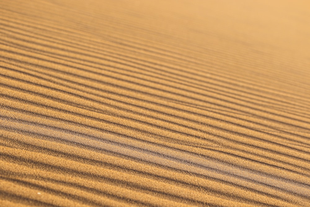 a sand dune with lines in the sand