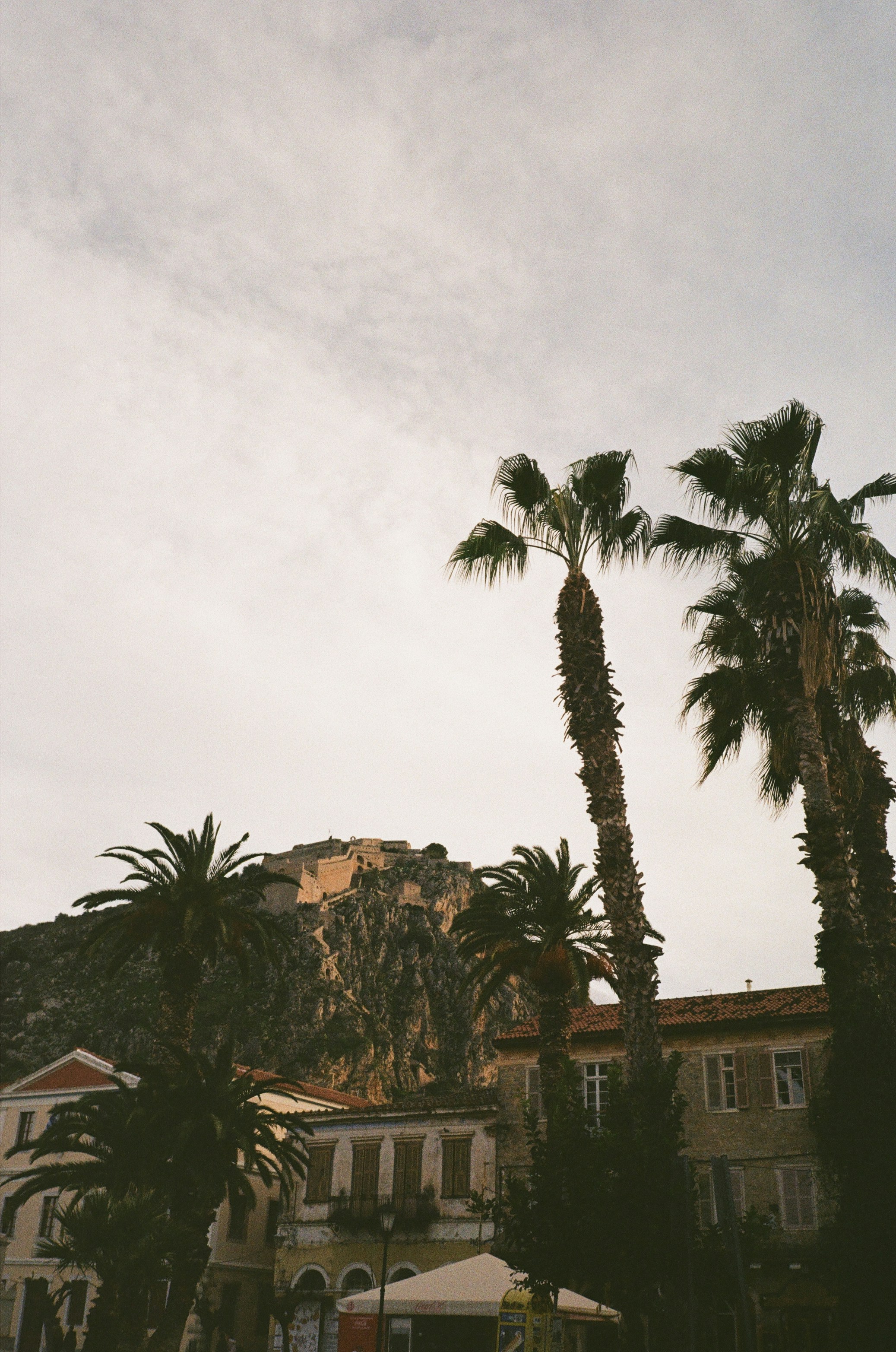 Photo by lasyciel