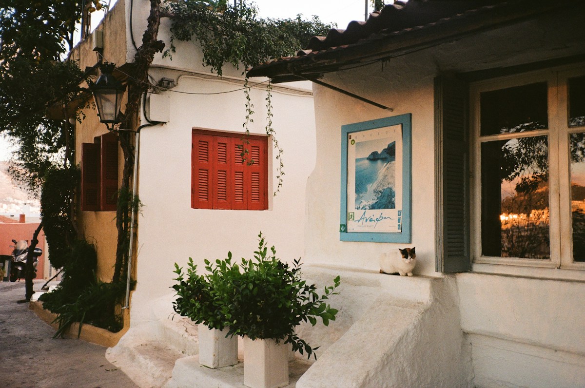 Petite maison blanchie à la chaux aux volets rouges, avec des plantes en pot et un chat assis sur le rebord d'une fenêtre