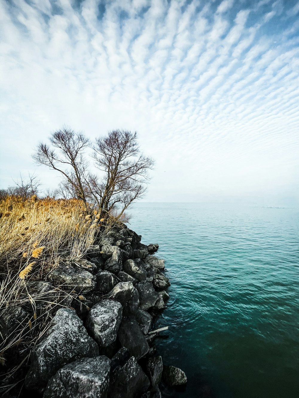 a body of water next to a rocky shore