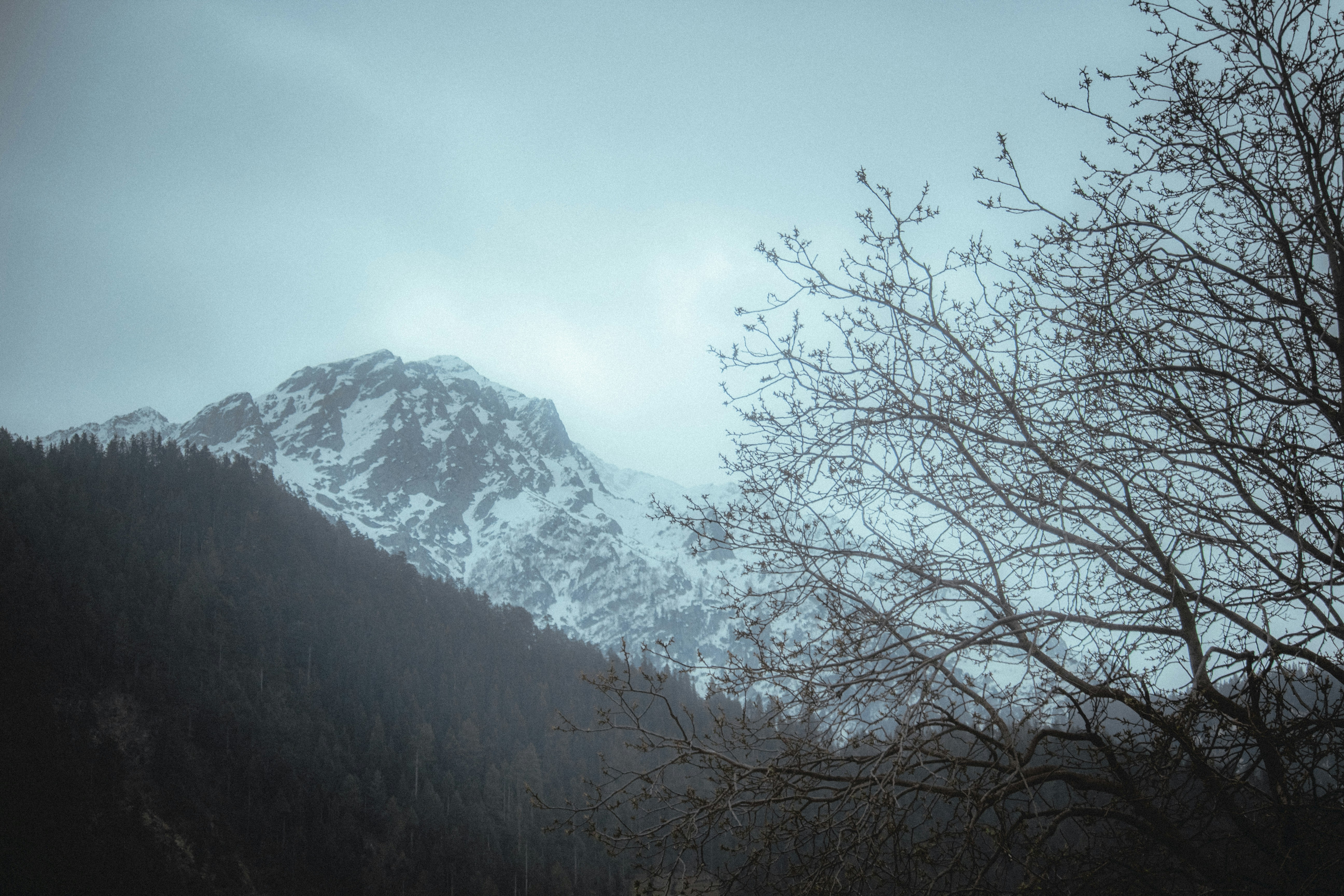 Photo by beingfarooq247365