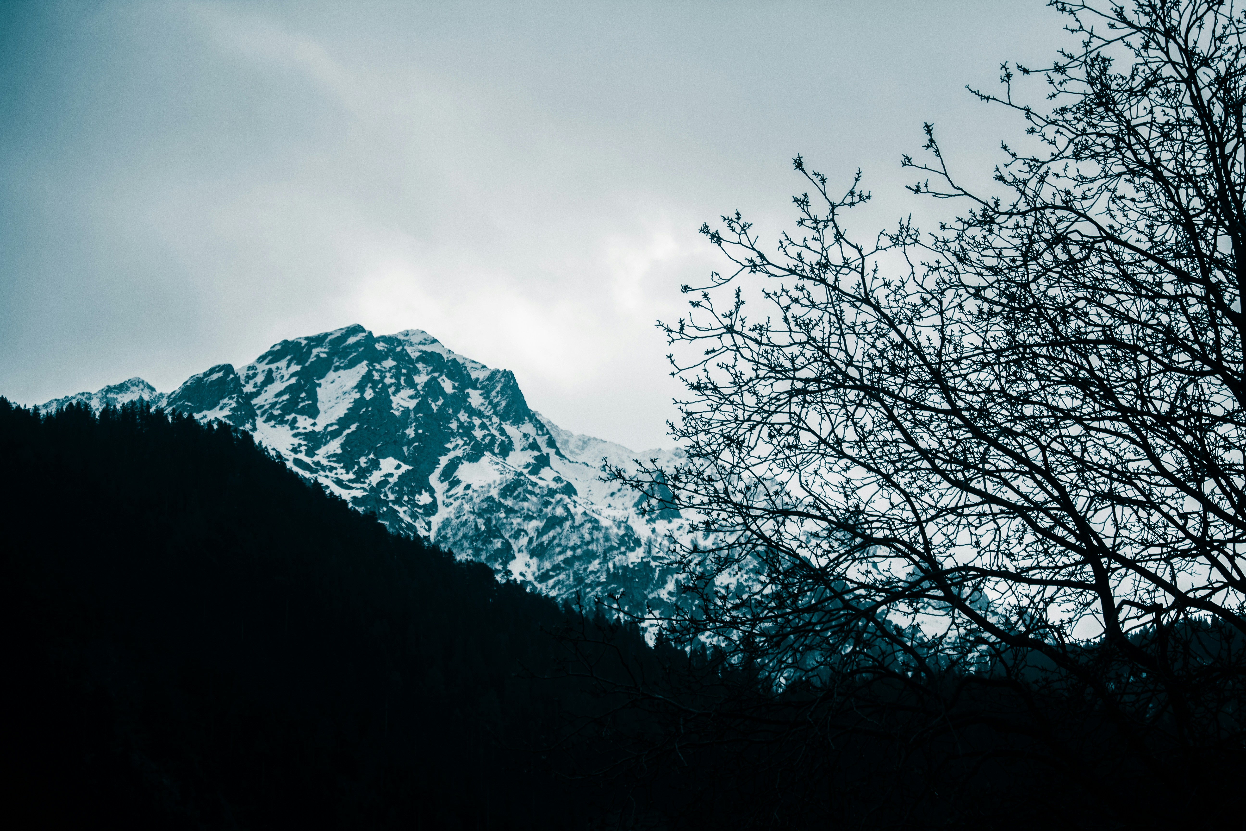 Photo by beingfarooq247365