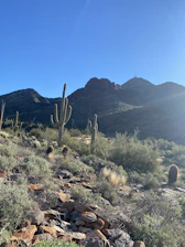 A welcoming desert home surrounded by cacti under a bright blue sky.
