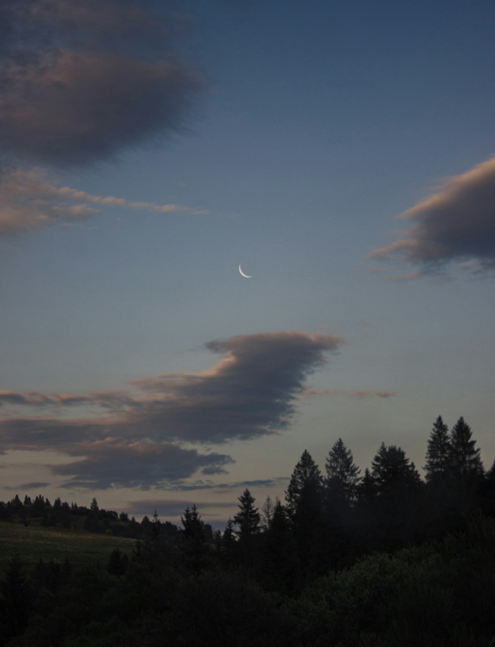 the moon is shining in the sky above the trees