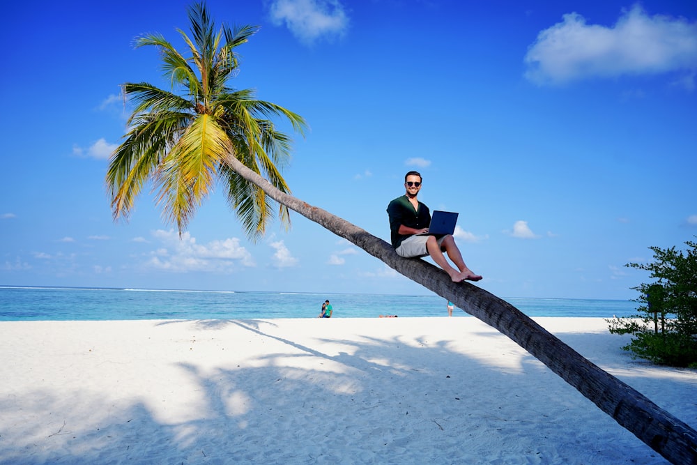 a man sitting on a palm tree using a laptop