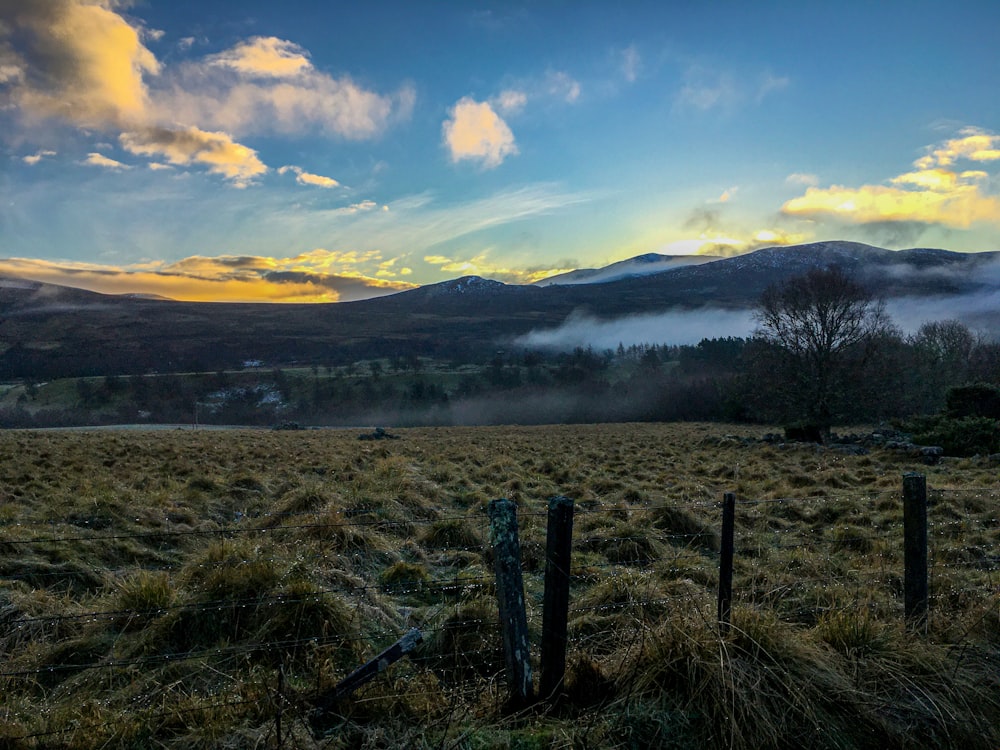 a field with a fence and mountains in the background